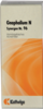 SYNERGON KOMPLEX 96 Gnaphalium N Tropfen