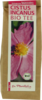 CISTUS INCANUS Bio Tee