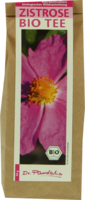 ZISTROSE BIO Tee - 50g