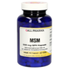 MSM 500 mg GPH Kapseln