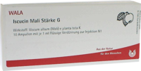 ISCUCIN mali Stärke G Ampullen - 10X1ml