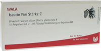 ISCUCIN pini Stärke C Ampullen - 10X1ml