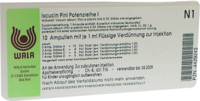 ISCUCIN pini Potenzreihe I Ampullen - 10X1ml