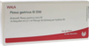 PLEXUS GASTRICUS GL D 30 Ampullen