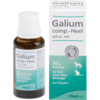 GALIUM COMP.-Heel ad us.vet.Tropfen