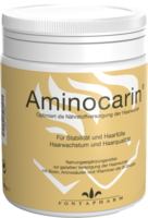 AMINOCARIN Pulver Dose - 200g