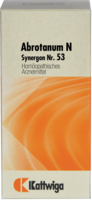 SYNERGON KOMPLEX 53 Abrotanum N Tabletten - 100St