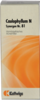 SYNERGON KOMPLEX 81 Caulophyllum N Tropfen