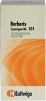 SYNERGON KOMPLEX 101 Berberis Tabletten - 100St