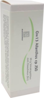 JSO JKH GEWEBEMITTEL Gw 13 Ailanthus cp Globuli - 20g - Iso
