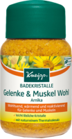 KNEIPP BADEKRISTALLE Gelenke & Muskel Wohl - 500g - Badezusatz