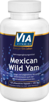 VIAVITAMINE Mexican wild Yam Kapseln - 120St