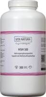 MSM KAPSELN 500 mg - 300St