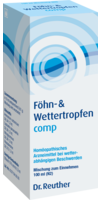 FÖHN- & WETTERTROPFEN comp. - 100ml