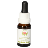 BANKSIA Robur austr.Bushblüte Tropfen - 15ml