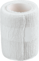 ASKINA Fixierbinde kohäsiv 10 cmx20 m - 1St