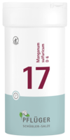 BIOCHEMIE Pflüger 17 Manganum sulfuricum D 6 Tabl. - 400St - Biochemie Pflüger