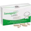 SANAGAST Laves Tabletten