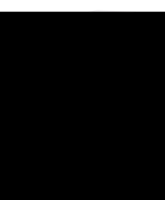 ACIDUM PHOSPHORICUM C 12 Globuli - 10g