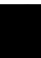 ALLIUM SATIVUM D 12 Dilution - 20ml