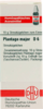 PLANTAGO MAJOR D 6 Globuli