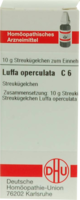 LUFFA OPERCULATA C 6 Globuli - 10g