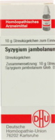 SYZYGIUM JAMBOLANUM D 4 Globuli - 10g