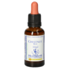 BACHBLÜTEN Chestnut Bud Healing Herbs Tropfen