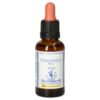 BACHBLÜTEN Chestnut Bud Healing Herbs Tropfen - 30ml