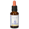 BACHBLÜTEN Chicory Healing Herbs Tropfen