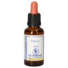 BACHBLÜTEN Holly Healing Herbs Tropfen