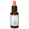 BACHBLÜTEN Pine Healing Herbs Tropfen