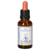 BACHBLÜTEN Red Chestnut Healing Herbs Tropfen