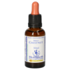 BACHBLÜTEN Sweet Chestnut Healing Herbs Tropfen