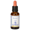 BACHBLÜTEN Walnut Healing Herbs Tropfen