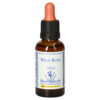BACHBLÜTEN Wild Rose Healing Herbs Tropfen
