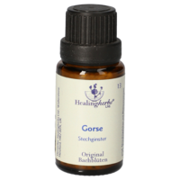 BACHBLÜTEN Gorse Globuli Healing Herbs - 15g