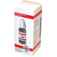 POLLENS D 12 Globuli - 10g