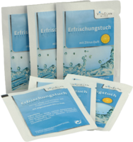 VITA ELAN Erfrischungstuch - 10St