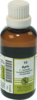 APIS F Komplex Nr.10 Dilution