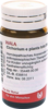 CICHORIUM E planta tota 5% Globuli