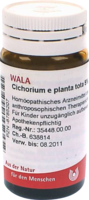 CICHORIUM E planta tota 5% Globuli - 20g
