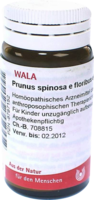 PRUNUS SPINOSA E floribus et summitatibus D 2 Gl. - 20g