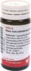 RHUS TOXICODENDRON E foliis D 12 Globuli