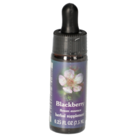 BLACKBERRY FES kalifornische Blütenessenz Tropfen - 7.5ml