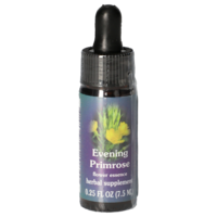 EVENING Primrose FES kaliforn.Blütenessenz Tropfen - 7.5ml