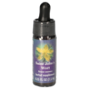 SAINT JOHN\'S Wort FES kaliforn.Blütenessenz Tropf.