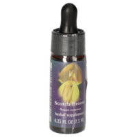 SCOTCH BROOM FES kalifornische Blütenessenz Tropf. - 7.5ml