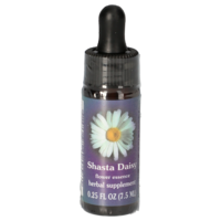 SHASTA Daisy FES kalifornische Blütenessenz Tropf. - 7.5ml