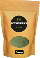 BIO GERSTENGRAS Pulver - 500g